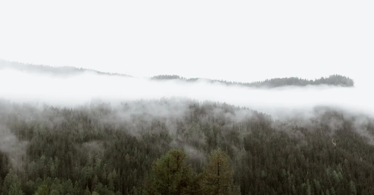 Jak rozwiązać zagadkę Kwestii Życia i Śmierci w Wiedźminie 3?