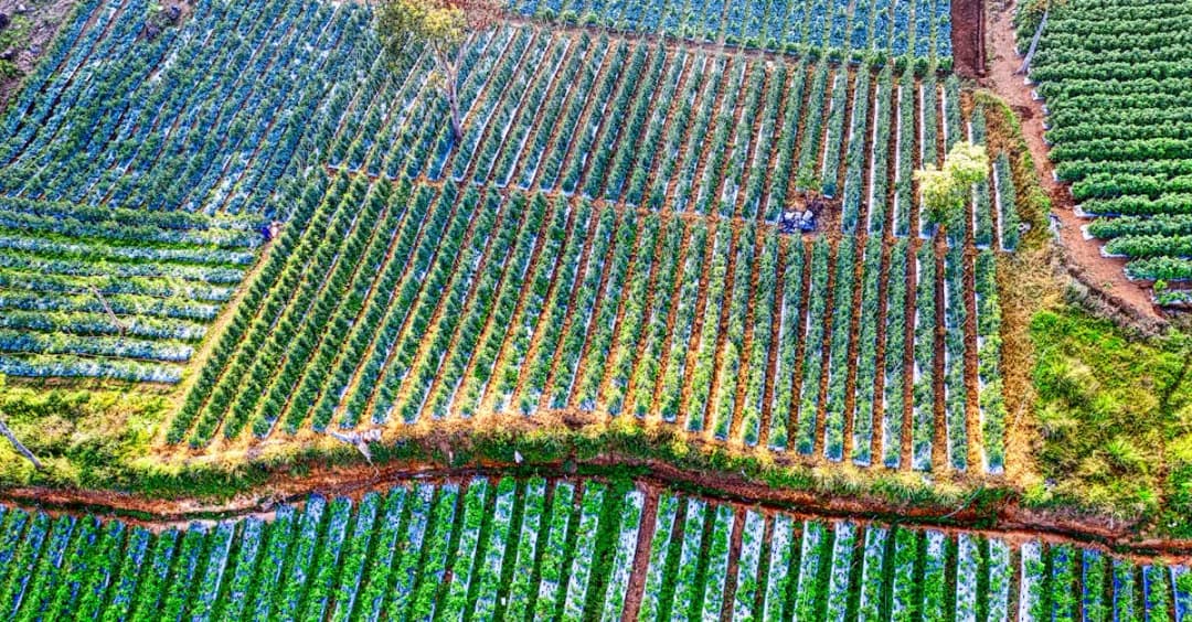 Najciekawsze gry w gatunku symulator chodzenia, które warto sprawdzić