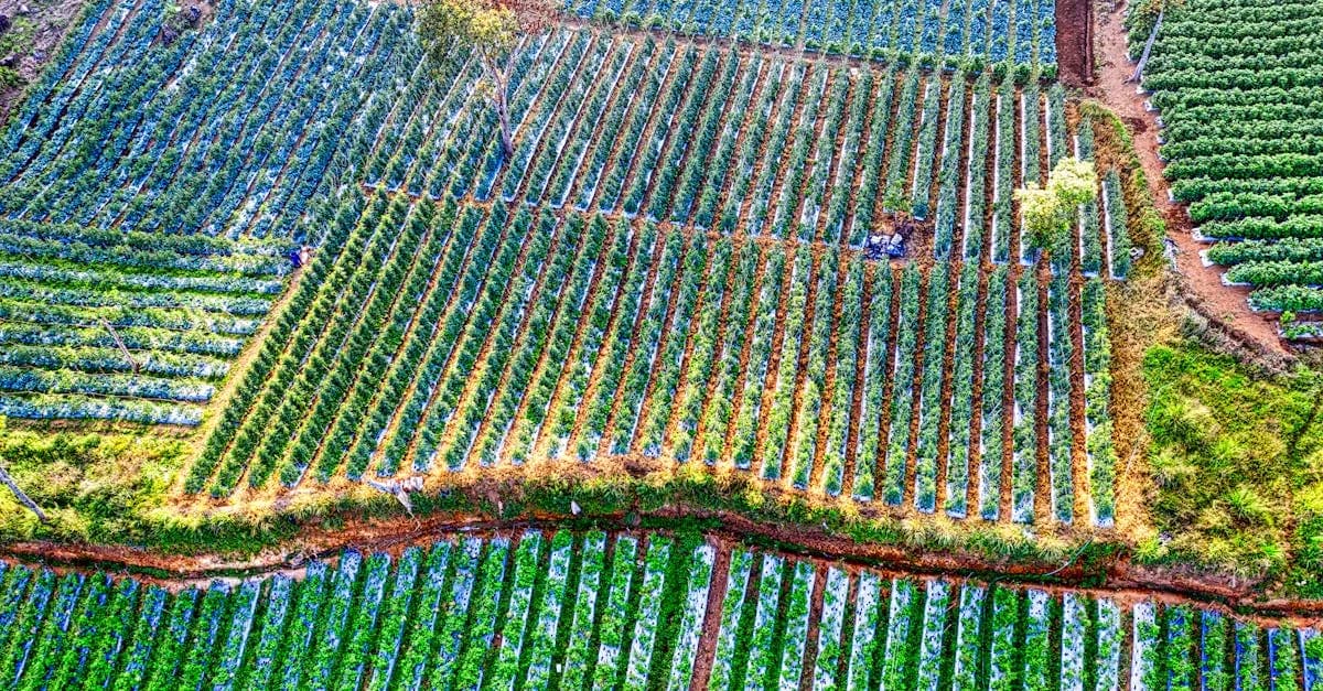 Najciekawsze gry w gatunku symulator chodzenia, które warto sprawdzić